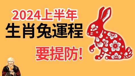 2024年 兔|属兔2024年运程及运势详解 2024年属兔人全年每月运势